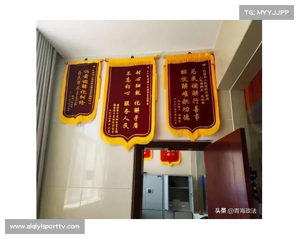 体育仲裁机制现阶段完善在线受理流程，降低纠纷解决成本